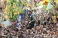 VBS_7011 - Fiera dei Santi - 12.ma Fiera Nazionale del Tartufo
